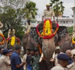 Karnataka govt hands over kumki elephants to Andhra Pradesh on May 21 due to the efforts of AP deputy cm pavan kalyan, kumki elephants, pavan kalyan, kumki elephants from karnataka, pavan kalyan kumki elephants, kumki elephants coming to ap , kumki elephants coming due to efforts of pavan Six kunki elephants to be delivered to AP from karnataka on May 21